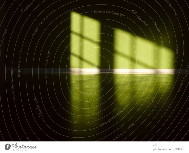 northern lights Light Window Rung Reflection Green Wall (building) Ghost light Aurora Borealis Dark Diagonal Parallel Horizontal Detail Colour Shadow