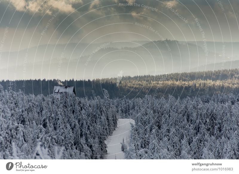 first snow in the mountains Winter Hiking Nature Landscape Clouds Sun Weather Ice Frost Snow Tree Mountain Cold Erz Mountains fichtelberg Germany cloud Hill