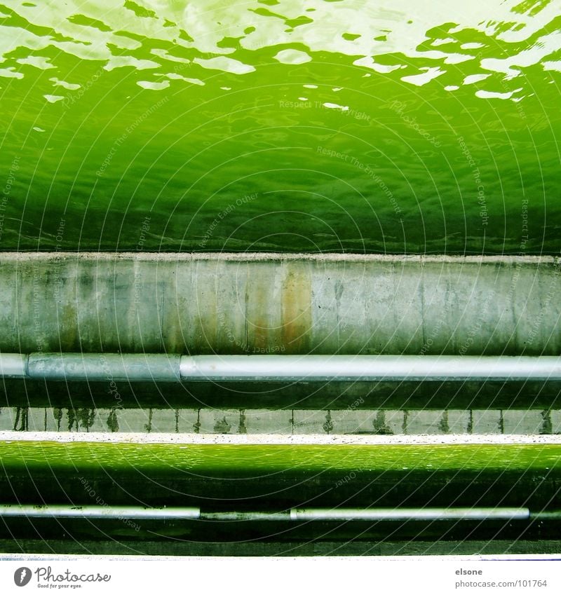 mr green Pond Poison Acid Body of water Wet Dirty Green Concrete Well I Square Sharp-edged Stuttgart Dresden Riesa Bans Derelict River Brook Water Fluid