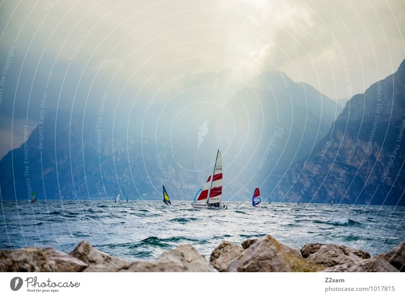 lago di garda Leisure and hobbies Sports Aquatics Sailing Environment Nature Landscape Water Sky Clouds Sun Sunlight Summer Weather Beautiful weather Movement