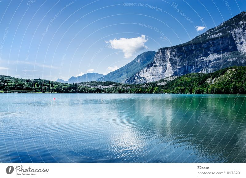 Lago di Cavedine Vacation & Travel Summer Summer vacation Mountain Environment Nature Landscape Sky Beautiful weather Alps Lakeside Esthetic Fresh