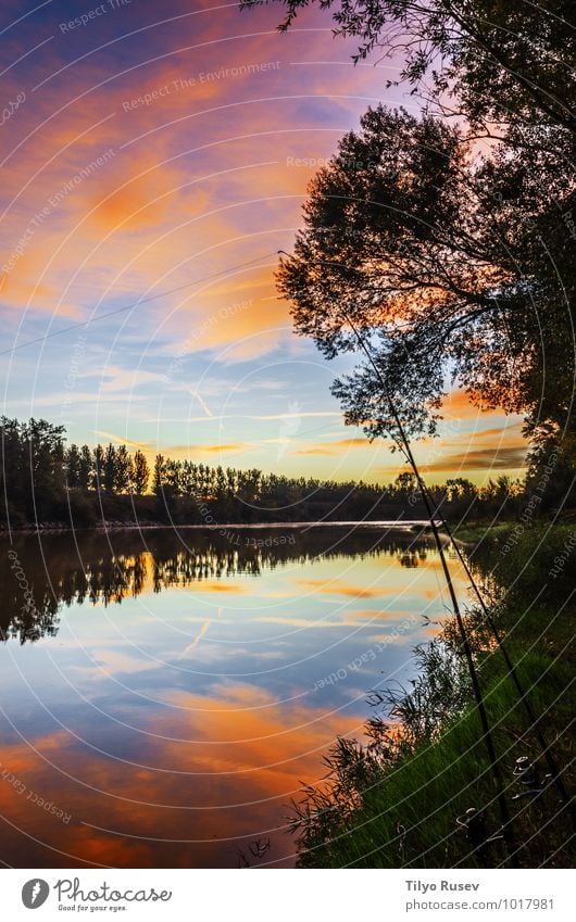 Fishing at the river Beautiful Sun Nature Water Sky Sunrise Sunset Forest Natural Blue Green Colour Peace Flow Vantage point nice peaceful Spain Europe