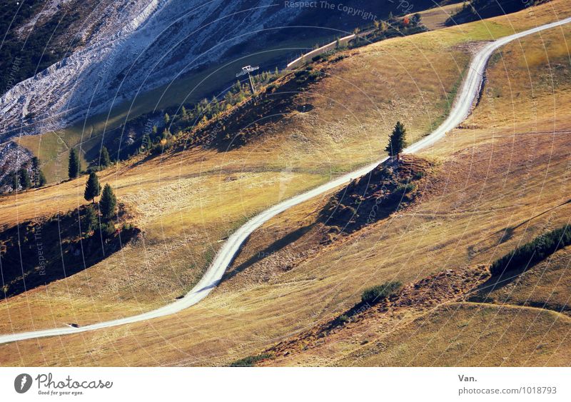 This way Mountain Hiking Nature Landscape Earth Autumn Beautiful weather Tree Grass Meadow Hill Rock Alps Lanes & trails Brown Yellow Green Colour photo