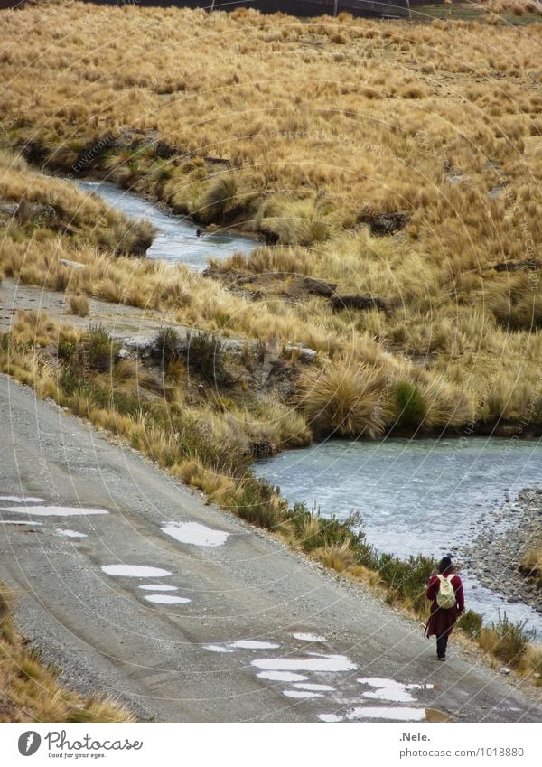 caminando. Vacation & Travel Trip Adventure Far-off places Freedom Mountain Hiking Andes Lanes & trails Woman Adults Man Life 1 Human being Nature Water Drought