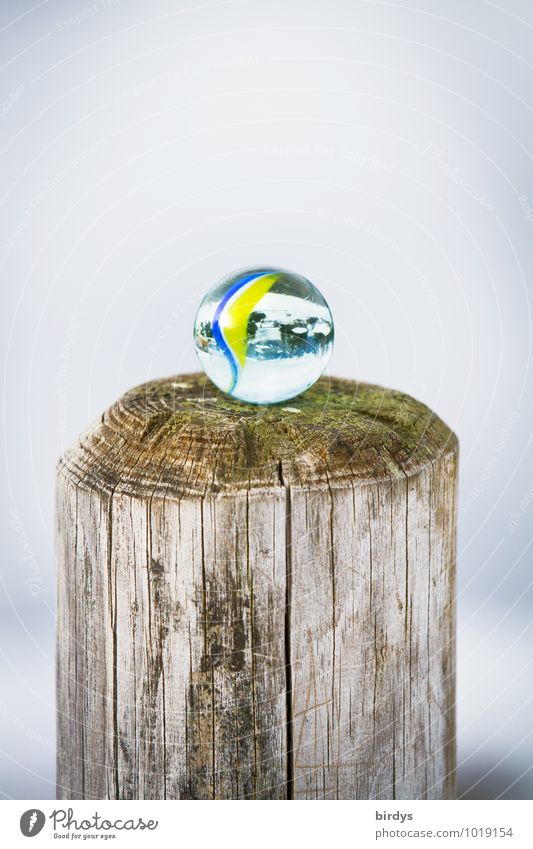 pole position Marble Glass ball Pole Esthetic Fresh Positive Round Calm Infancy Good luck charm Transparent Children's game Wood Above 1 Colour photo