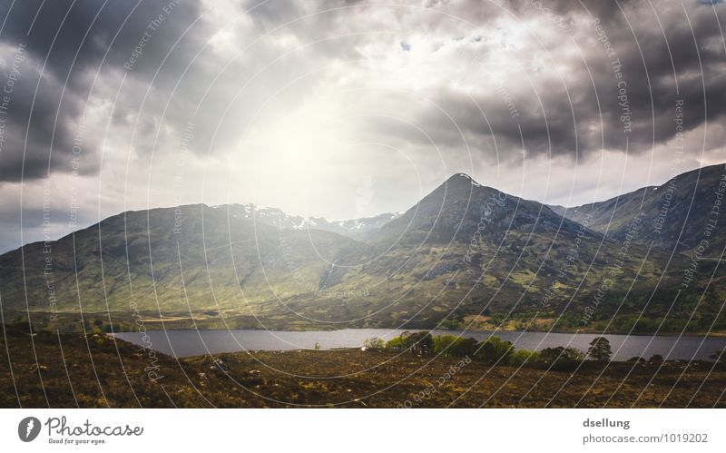 left alone. Environment Nature Landscape Sky Storm clouds Spring Summer Autumn Climate Bad weather Bushes Meadow Hill Rock Mountain Canyon Glen Affric Adventure