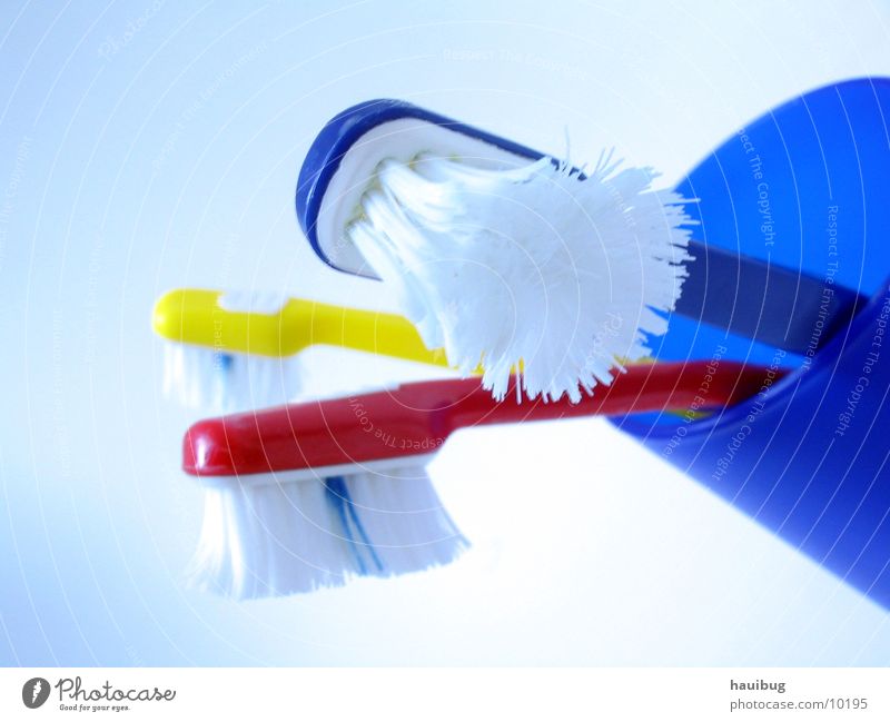 toothbrush Toothbrush Cleaning Things cleanly Morning