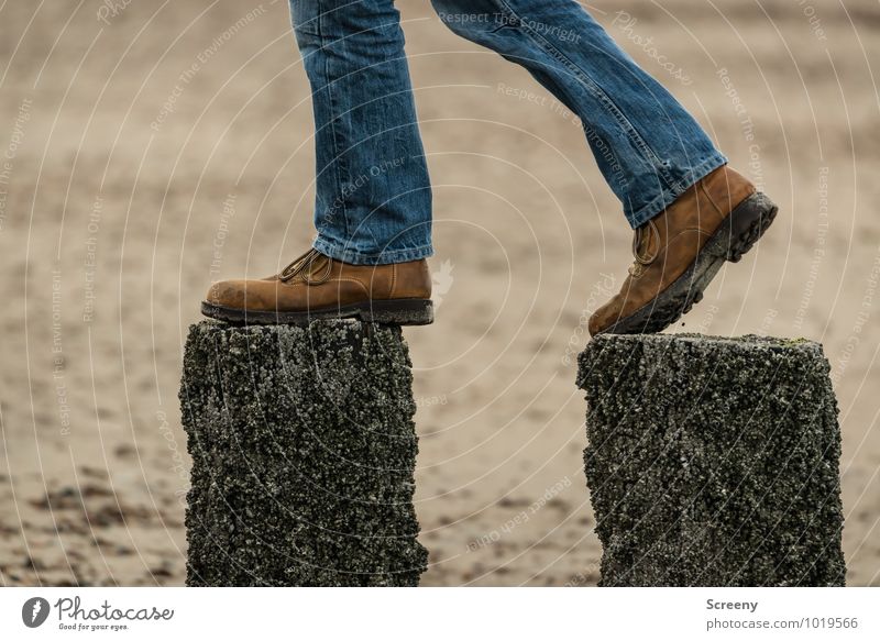 gradual Legs Feet 1 Human being Sand Beach North Sea Mole Jeans Footwear Going Blue Brown Bravery Optimism Success Serene Self Control Fear of heights Adventure