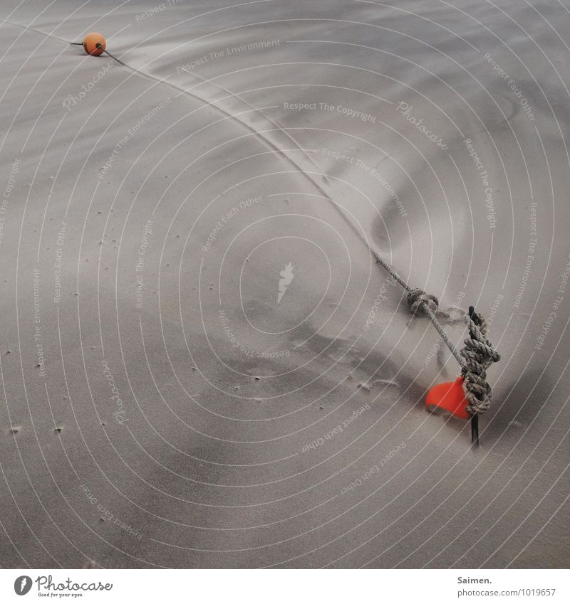 beach buoy Nature Weather Wind Gale Coast Beach North Sea Baltic Sea Ocean Environment Sandy beach Rope Buoy Structures and shapes Sanddrift Wooden stake Change