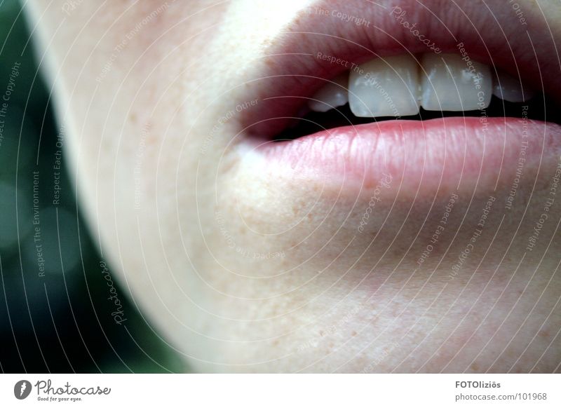 it gets colder Lips Cold Freckles Tooth space Pink Woman Mouth Skin Face Teeth