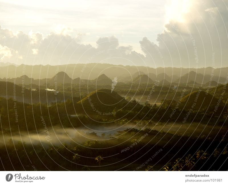 wake up... Asia Bohol Nature Vacation & Travel Light Peace Forest Palm tree Fog Pleasant Green Calm Harmonious Sunrise Philippines Exterior shot Grief Distress