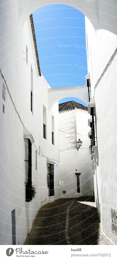 gas Alley White Village Spain Narrow Wall (barrier) Loneliness Summer Window Electricity Background picture Calm Flower Midday Lime Lamp Small Deserted Empty