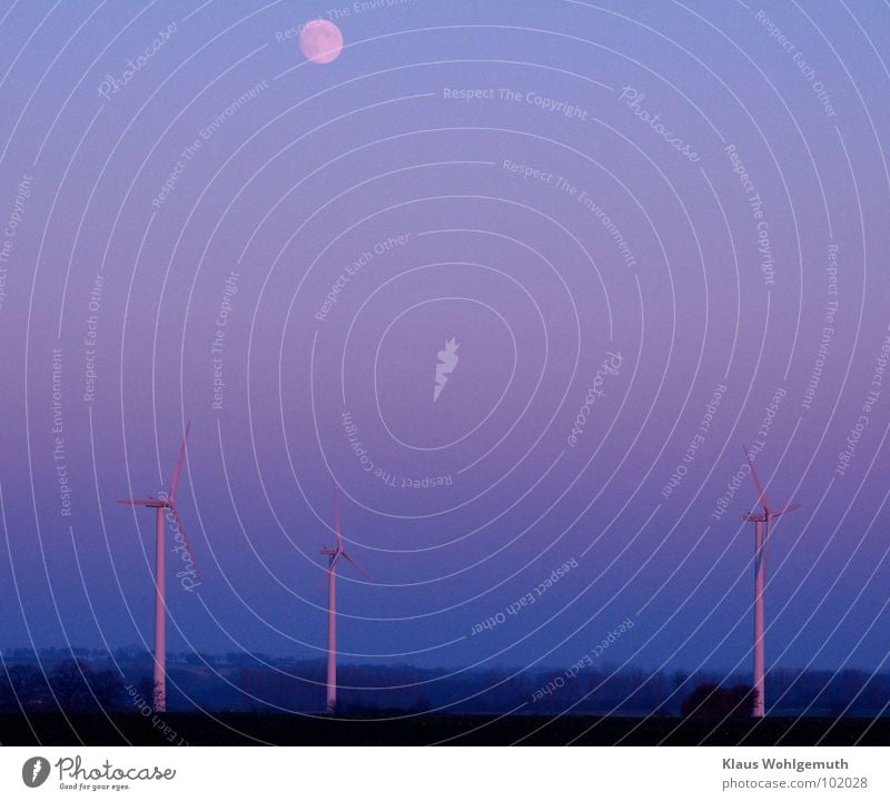 Full momd over wind turbines in blue light of evening Industry Technology Wind energy plant Landscape Moon salow Blue Romance telephoto Evening Twilight