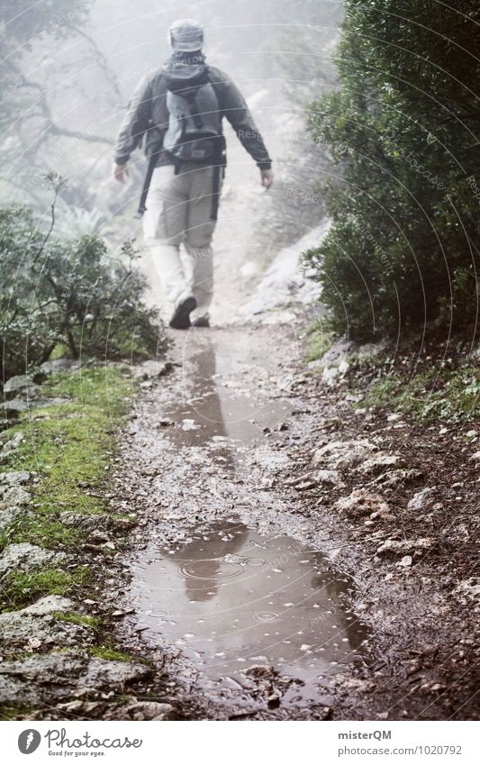 We Walk II Nature Climate Bad weather Fog Rain Plant Adventure Lanes & trails Loneliness Puddle Reflection Shroud of fog Cloud forest Sea of fog