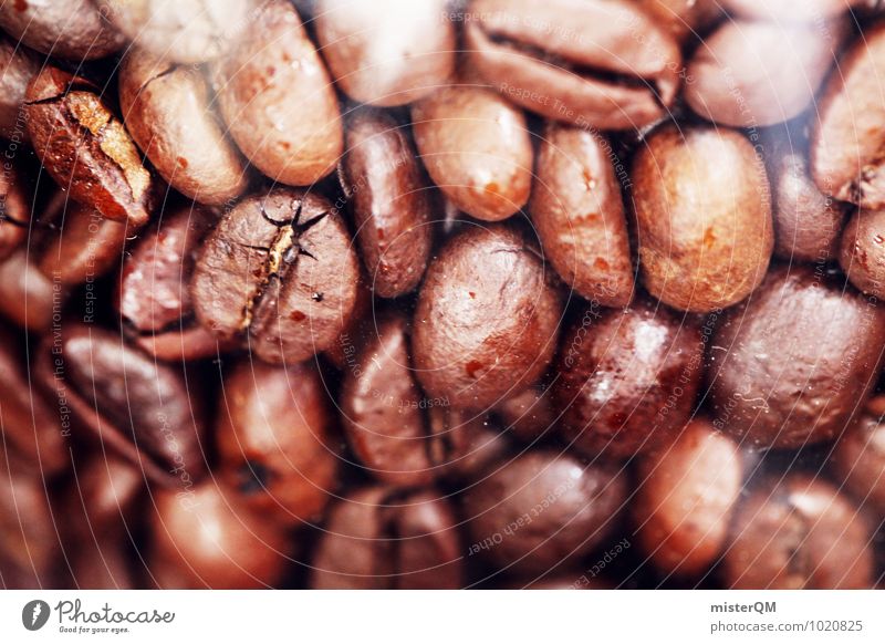 Keans Beans. Design Exotic Esthetic Coffee Coffee break Coffee bean Coffee maker Brown Many Sense of taste Latte macchiato To enjoy Colour photo Subdued colour