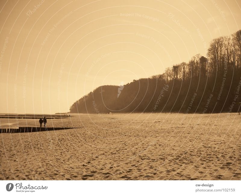 cardboard display on the beach of malibu aka noch meer... III Koserow Summer Waves Beach Black White crest Jetty Mole Air Horizon Sunbathing Aquatic Hydrophilic