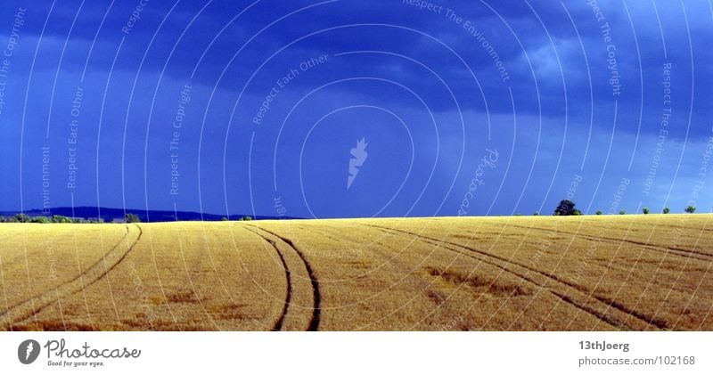 blue weather yellow Yellow Field Clouds Horizon Agriculture Germany Blue Sky Harvest Tracks Weather Colour Contrast