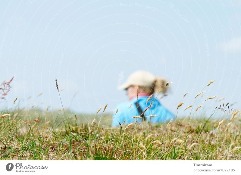 So beautiful there! Feminine 1 Human being Environment Nature Landscape Sky Beautiful weather Grass Hill Denmark Cap Hair and hairstyles Blade of grass Looking