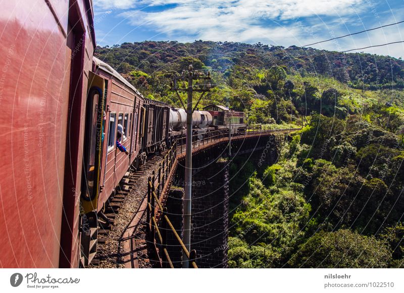 train Vacation & Travel Trip Adventure Far-off places Expedition Summer Environment Landscape Clouds Plant Bridge Transport Passenger traffic Train travel