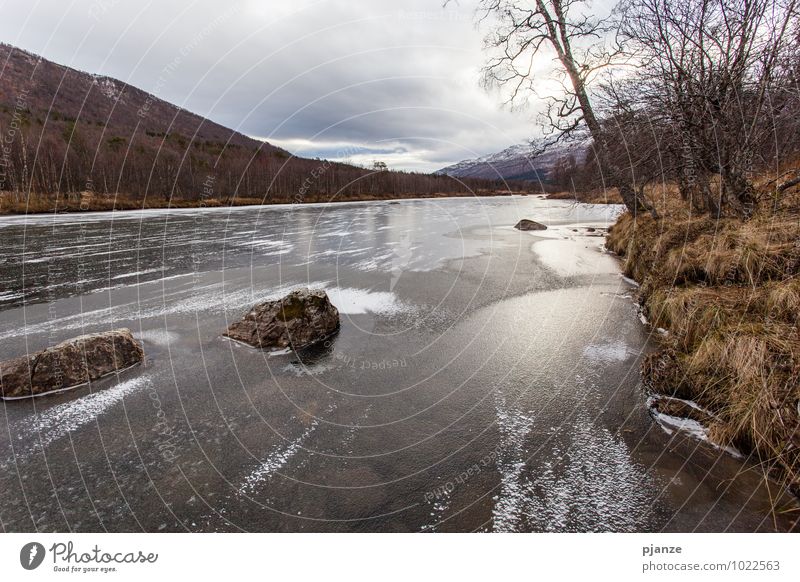 freezing cold Nature Landscape Plant Earth Water Clouds Sunlight Autumn Bad weather Wind Ice Frost Snow Tree Grass Bushes Glacier Fjord Vacation & Travel River