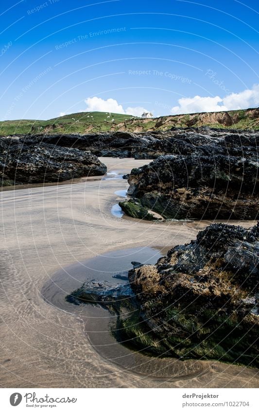 Ebb tide on the beach Vacation & Travel Tourism Trip Freedom Environment Nature Landscape Plant Animal Elements Spring Field Hill Rock Waves Coast Beach