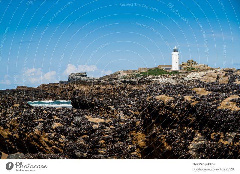 miniature lighthouse Vacation & Travel Tourism Trip Adventure Far-off places Freedom Environment Nature Landscape Plant Spring Beautiful weather Waves Coast Bay