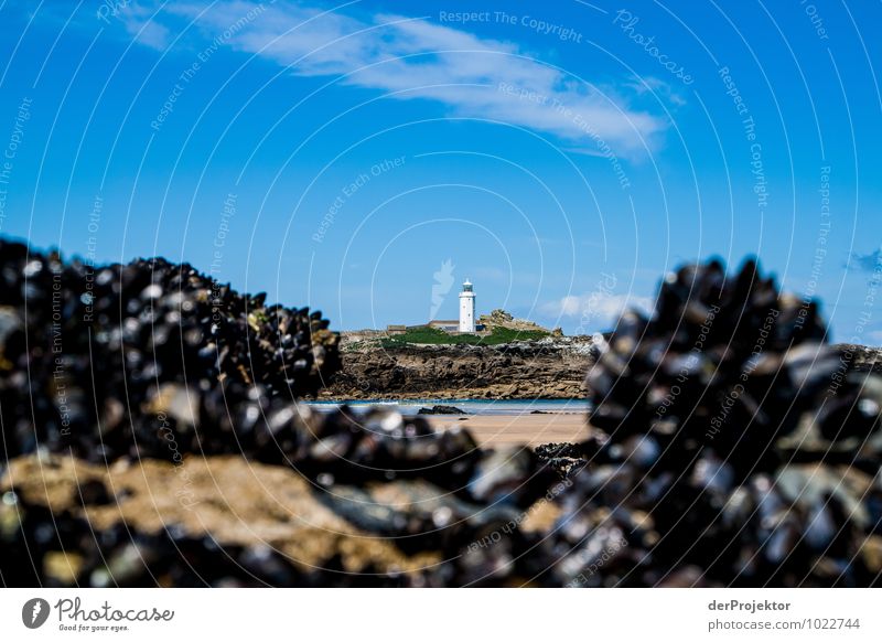 Lighthouse with shells Trip Far-off places Environment Nature Landscape Plant Spring Beautiful weather Hill Waves Coast Beach Bay North Sea Island