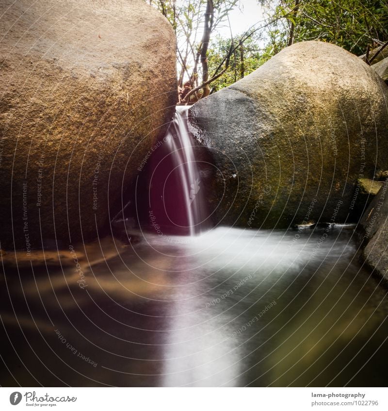 source of life Water Virgin forest Rock Brook River Waterfall National Park Khao Sok Thailand Asia Wet Refreshment Colour photo Exterior shot Reflection