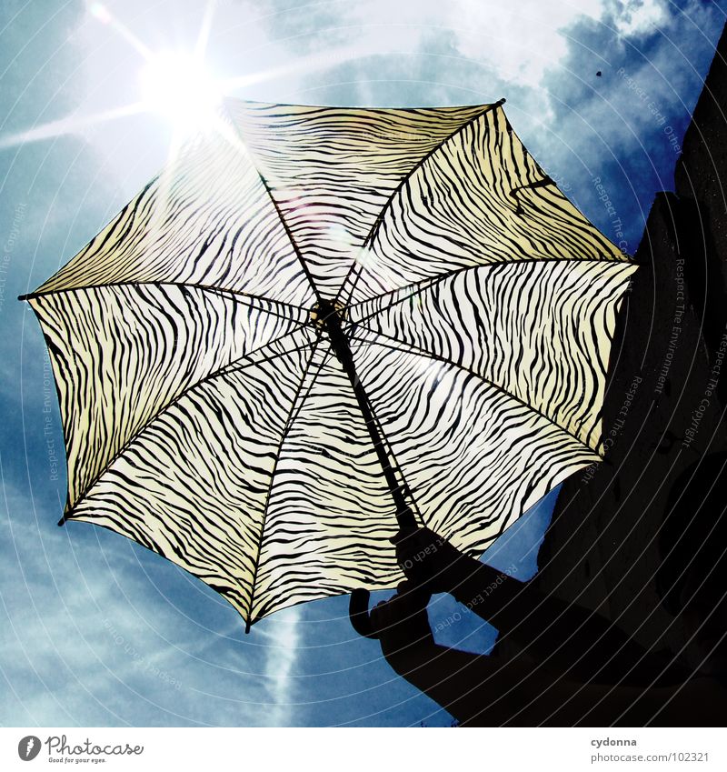 RADIOACTIVE XIII Style Action Sunshade Pattern Summer Sky Things Silhouette Weather protection Warmth Protection To hold on Tiger skin pattern Striped