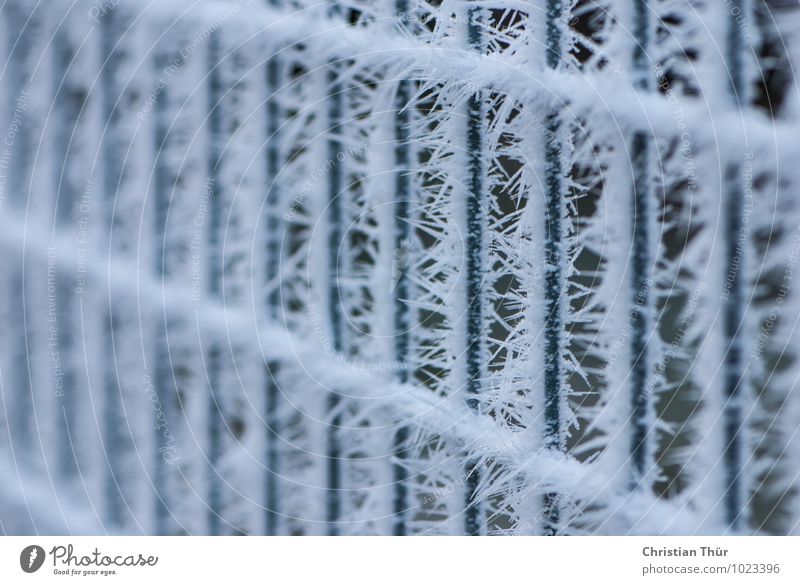 frost Harmonious Well-being Senses Winter Snow Environment Bad weather Ice Frost Net Network Freeze Thorny Calm Fence bar fence "Frozen," ice fall Hardness