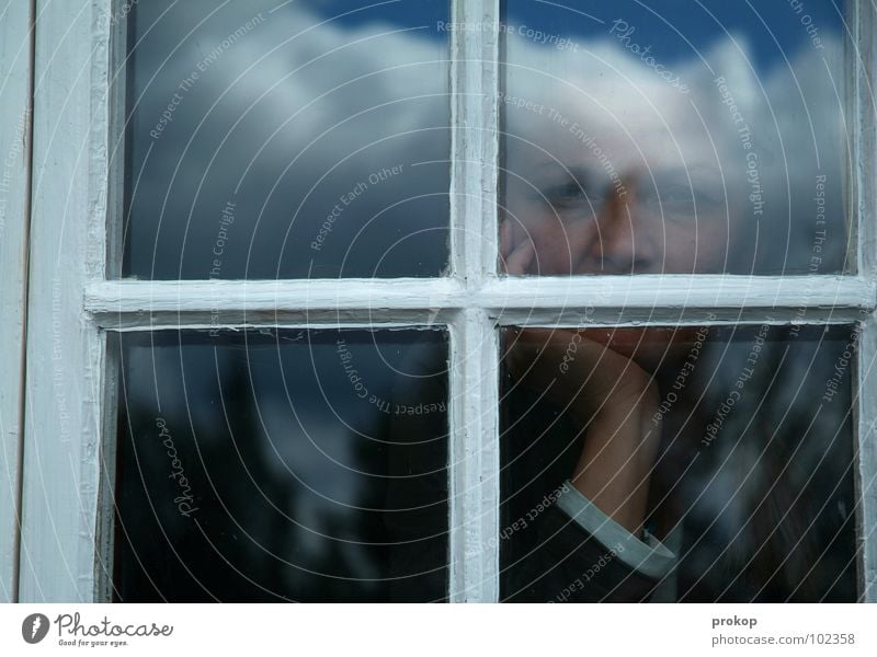 It is. Cloudy. Woman Girl Window Wood Clouds Tree Fir tree Coniferous trees Portrait photograph Hand Beautiful Attractive Captured Transparent Think Doomed