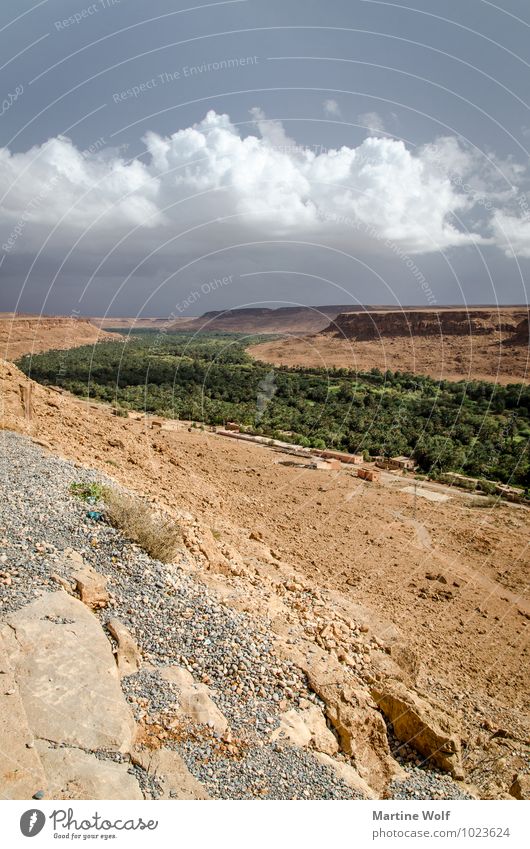 Vallée du Ziz Nature Landscape Storm clouds Canyon Oasis Morocco Africa Threat Life Vacation & Travel Ziz Valley Oasental Colour photo Exterior shot Deserted