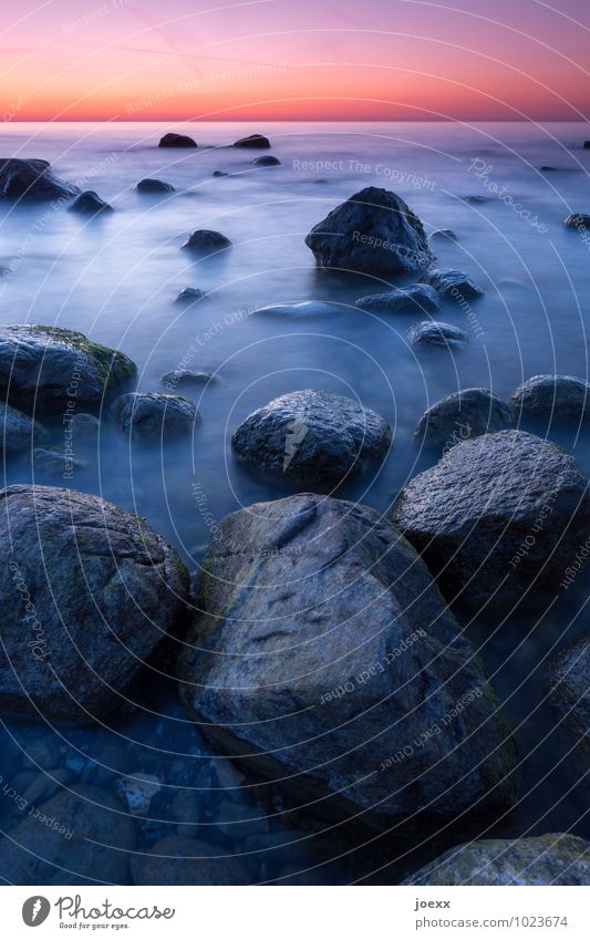 Living Stones Landscape Sky Sunrise Sunset Beautiful weather Rock Coast North Sea Water Large Infinity Blue Violet Orange Black Calm Horizon Idyll Colour photo