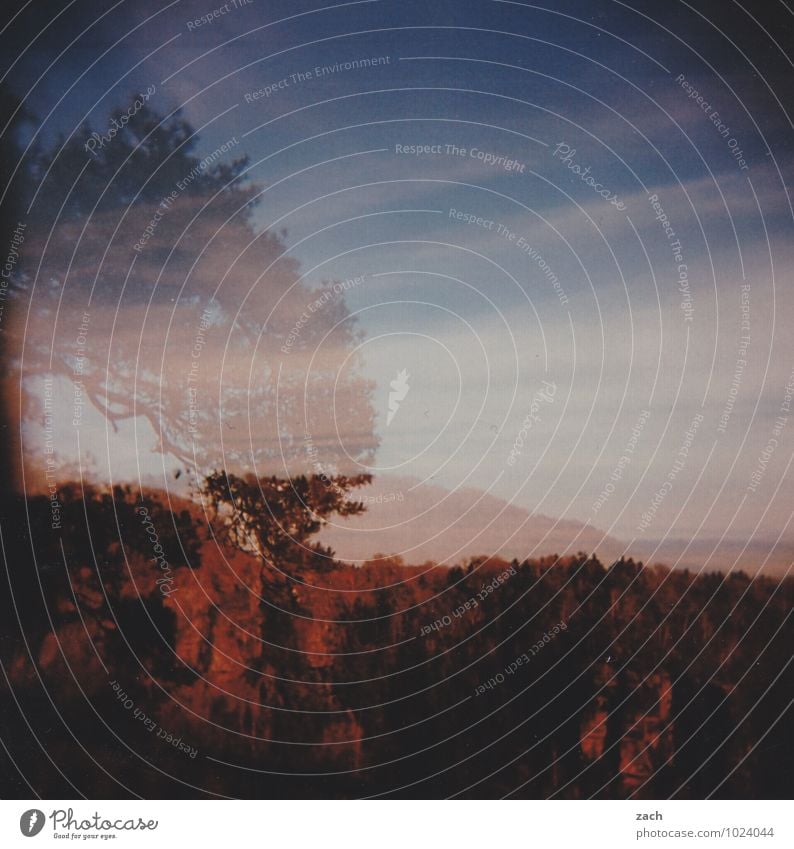 Blown away Sky Autumn Beautiful weather Plant Tree Forest Hill Rock Mountain Elbsandstone mountains Saxon Switzerland Line Stripe Blue Brown Analog Slide Scan