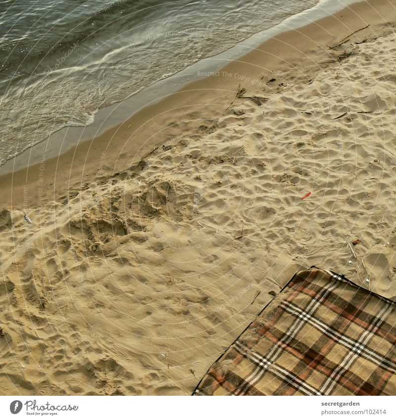 Dinner for One Ocean Beach Push Waves Swell Evening Bird's-eye view Brown Calm Relaxation Picnic Deserted Footprint Cloth Wellness Coast Water Sand Blanket