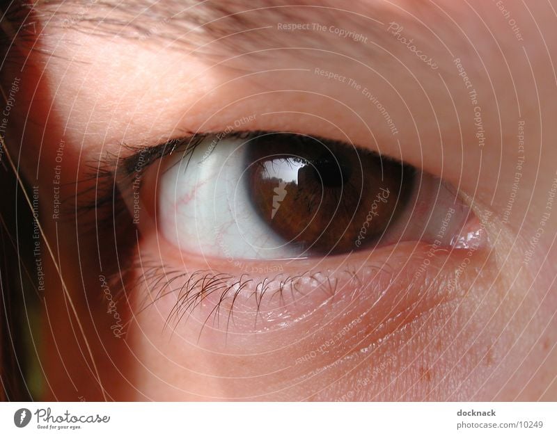 Eye with contact lens Contact lense Macro (Extreme close-up) Human being Eyes Looking