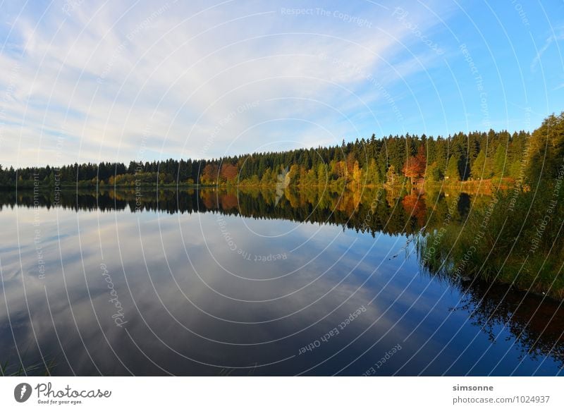 Silent lake Nature Water Clouds Autumn Fog Forest Pond Lake Moody spruce lake Seasons fichtelgebirge Bavaria Automn wood Vail Background picture Morning