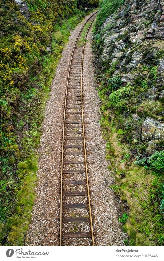 Rail, ballast, moss Environment Nature Landscape Plant Elements Hill Rock Transport Means of transport Traffic infrastructure Passenger traffic Train travel