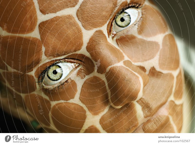 safari II Face Eyes Mouth Green Eyelash Intensive Giraffe wildlife Patch Saucer-eyed Eczema Colour photo Portrait photograph Make-up Looking into the camera