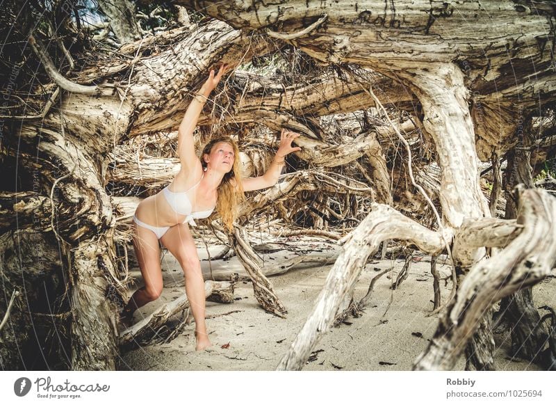 Labyrinths of racines Feminine Young woman Youth (Young adults) Woman Adults 1 Human being 13 - 18 years Child 18 - 30 years Summer Tree Root Burl wood