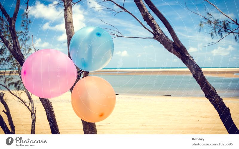 Célébration sur la plage Nature Landscape Water Summer Tree Lakeside Ocean Pacific beach Pacific Ocean Beach Decoration Balloon Sand Friendliness Maritime