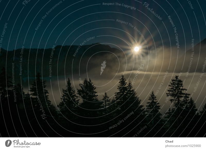 Clouds Sun 3 Harmonious Vacation & Travel Winter Winter vacation Mountain Environment Nature Landscape Plant Elements Sky Sunrise Sunset Sunlight Fog Alps