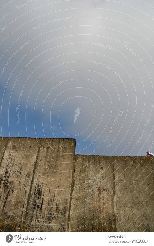 A person with a baseball cap hides behind an old concrete wall people Face one person Wall (barrier) Wall (building) Concrete Concrete wall Concrete slab Hide