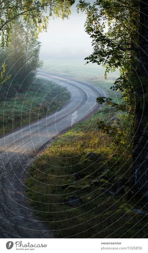 road to boda Landscape Street Gravel road Calm Curiosity Hope Belief Discover Idyll Moody Lanes & trails Advertising Target Future Colour photo Exterior shot