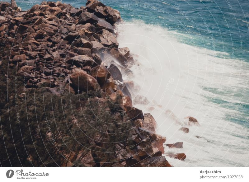 encounter, ocean meets stone wall .Queensland / Australia Joy Calm Leisure and hobbies Vacation & Travel Summer Environment Elements Beautiful weather Beach