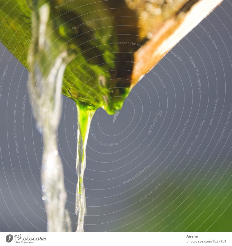 retro | running cold water Well Wood Fresh Cold Wet Natural Blue Brown Green White Sustainability Nature Nostalgia Past Modest Simple Splashing Water water pipe