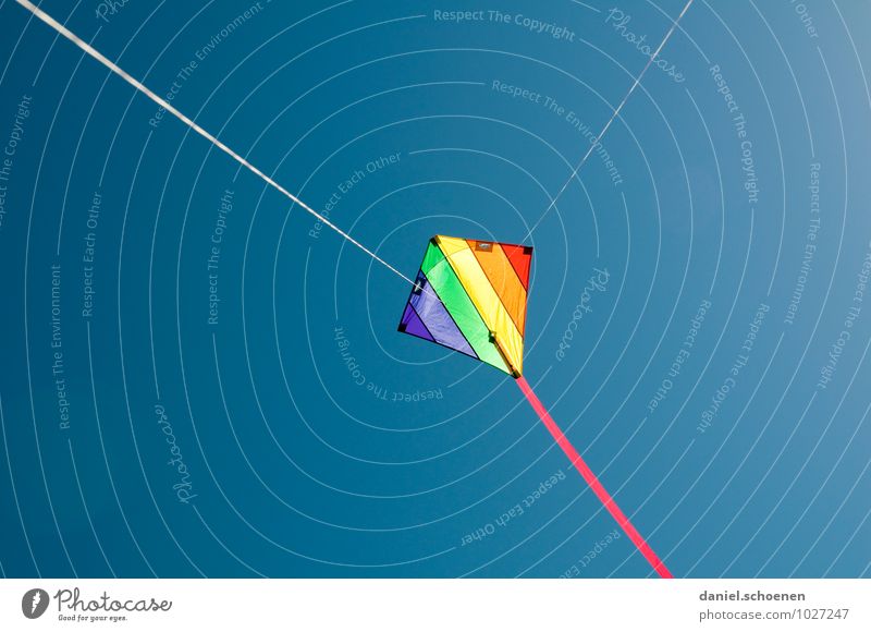 SSW strength 7 Leisure and hobbies Summer Flying Blue Multicoloured Movement Ease Colour photo Deserted Copy Space left Copy Space right Copy Space top