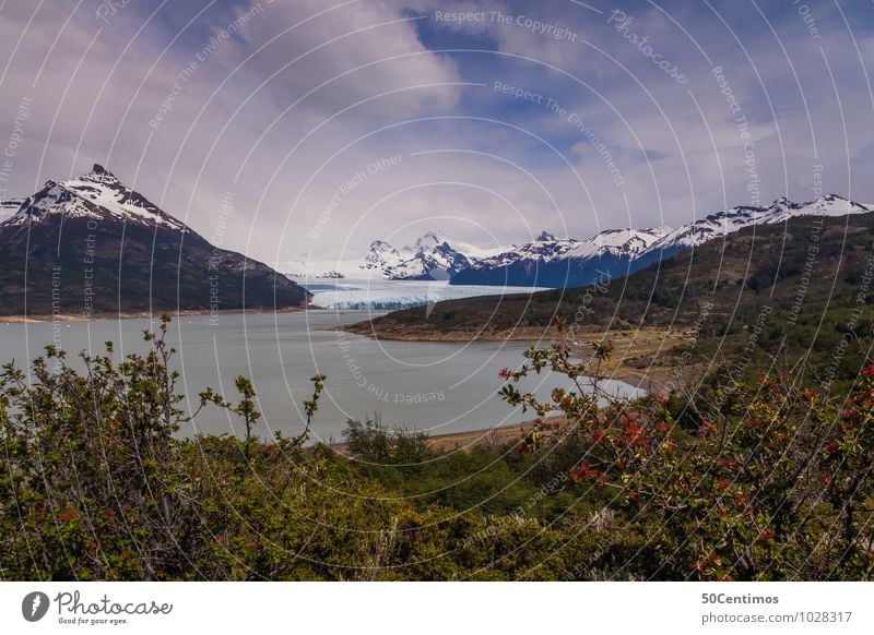 Glacier Perito Moreno in Patagonia of Argentina Leisure and hobbies Vacation & Travel Tourism Trip Adventure Far-off places Freedom Sightseeing City trip Cruise