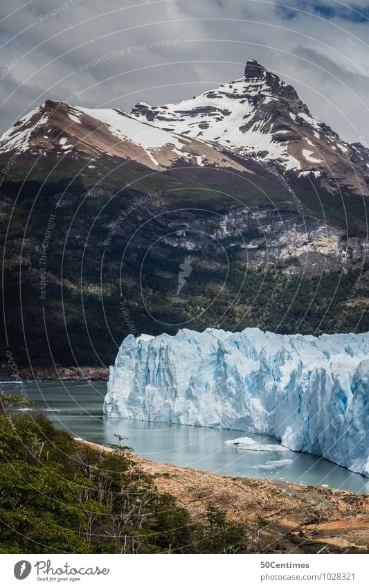 Glacier Perito Moreno in Patagonia of Argentina Leisure and hobbies Vacation & Travel Tourism Trip Adventure Far-off places Freedom Environment Nature Landscape