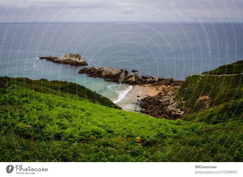 beautiful coastline Vacation & Travel Tourism Summer vacation Beach Ocean Island Waves Swimming & Bathing Environment Nature Landscape Clouds Bad weather Plant